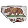 TURBO Men's Cal Flag Star Water Polo Brief