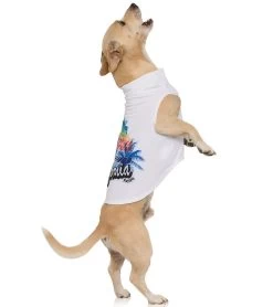 Playa Pup Dog Tank Top -Swimming Equipment 5667649913000 california 4a