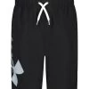 Under Armour Boys' Big Logo Volley Short (Little Kid, Big Kid)