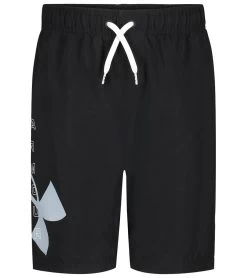 Under Armour Boys' Big Logo Volley Short (Little Kid, Big Kid)