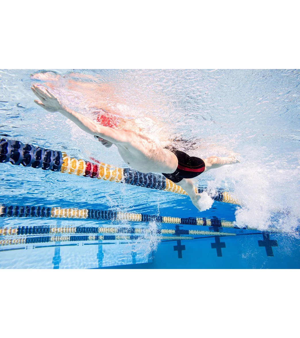 Piped Splice Swim Jammer Swimsuit 10 Piped Splice Swim Jammer Swimsuit - Image 10