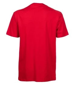 Arena Unisex Team Panel Short Sleeve Tee 21 Arena Unisex Team Panel Short Sleeve Tee -Swimming Equipment 7596255707304 red 11a