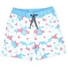 Boys' Swim Trunks (Toddler, Little Kid, Big Kid)