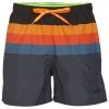 Men's Block Stripe Swim Trunks