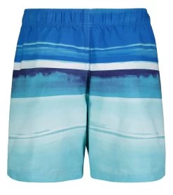Under Armour Boys' UA On The Horizon Volley Shorts (Little Kid) -Swimming Equipment 7647419170984 bluecircuit 3a