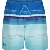 Under Armour Boys' UA On The Horizon Volley Shorts (Little Kid, Big Kid)