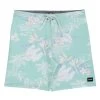 HURLEY Men's 20" Phantom Naturals Weekender Board Shorts